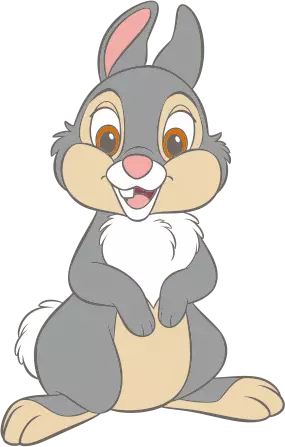 THUMPER & MISSBUNNY
