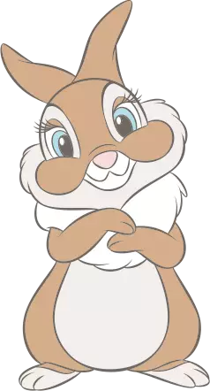 THUMPER & MISSBUNNY