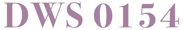 DWS 0154