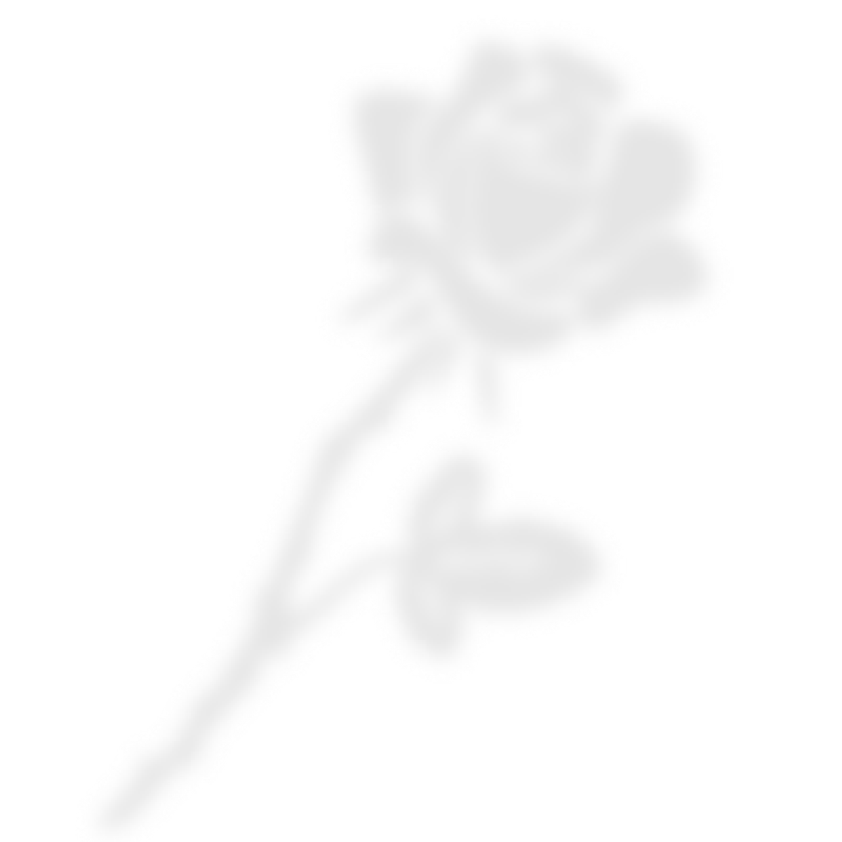 belle_object